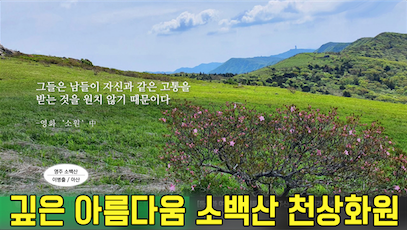 스크린샷 2020-06-29 오후 5.08.09.png