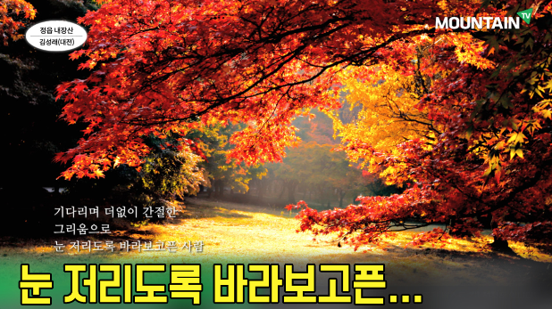 스크린샷 2020-11-11 오후 3.43.53.png