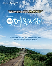 new-program-img
